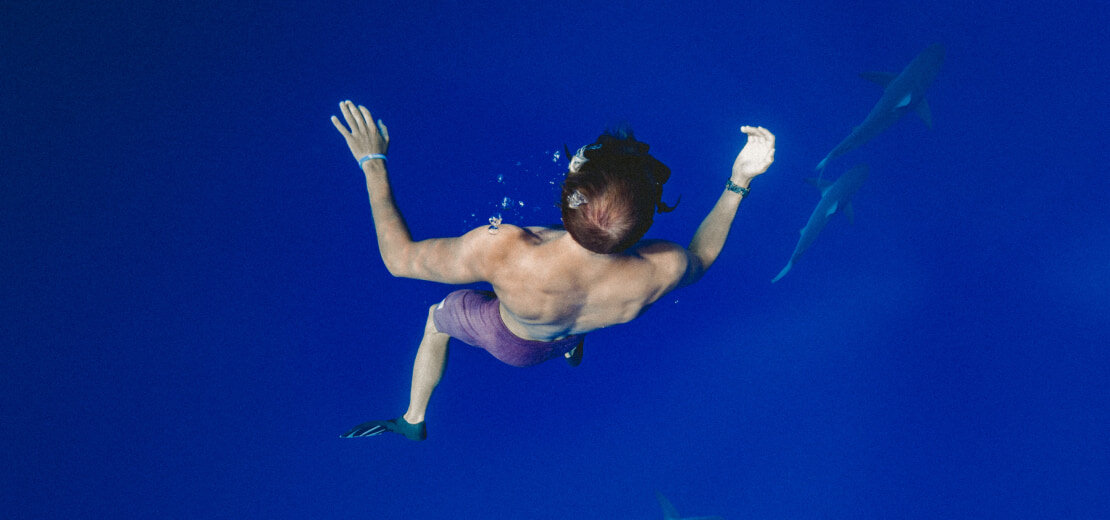 underwater photography types