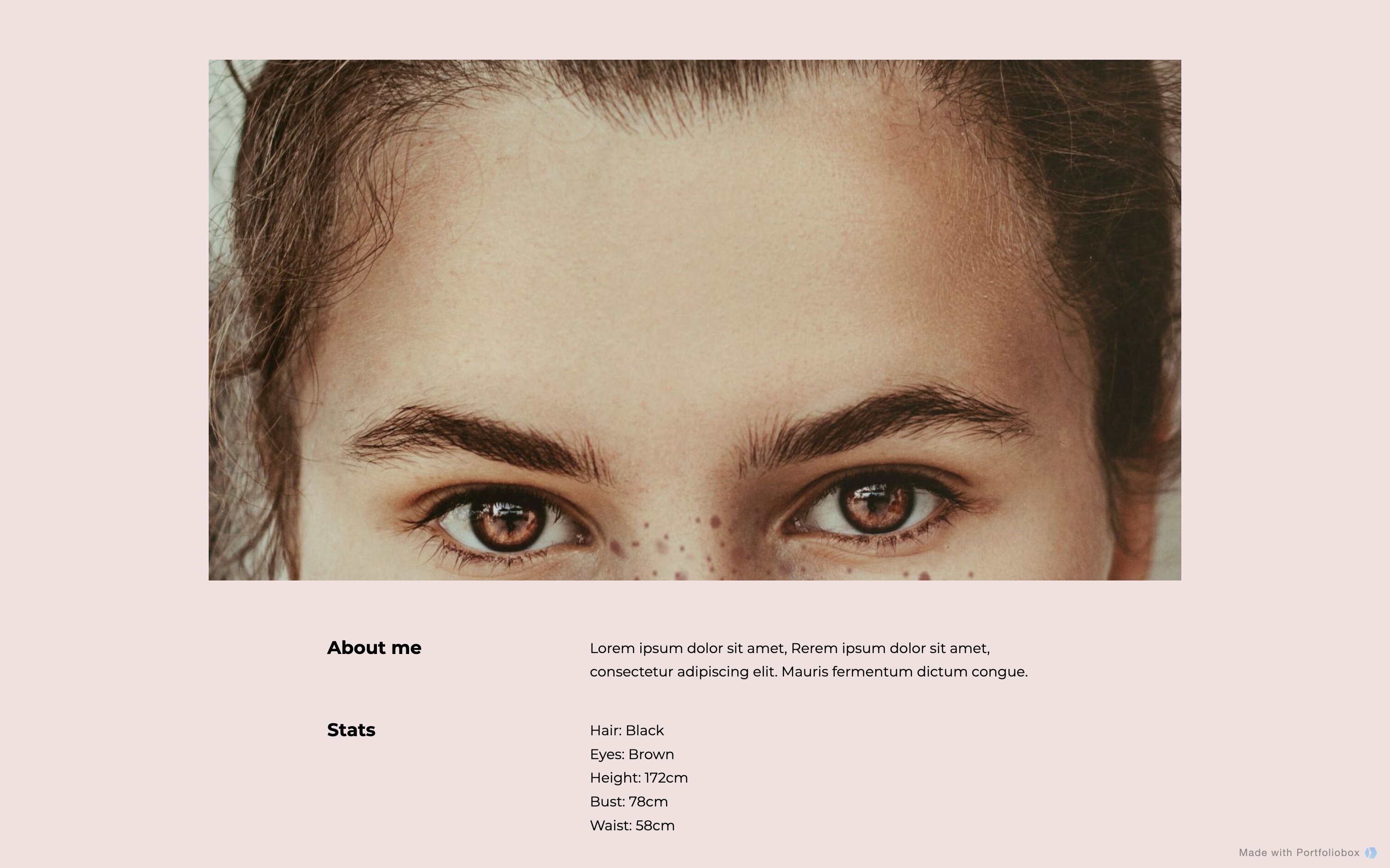 CV Templates