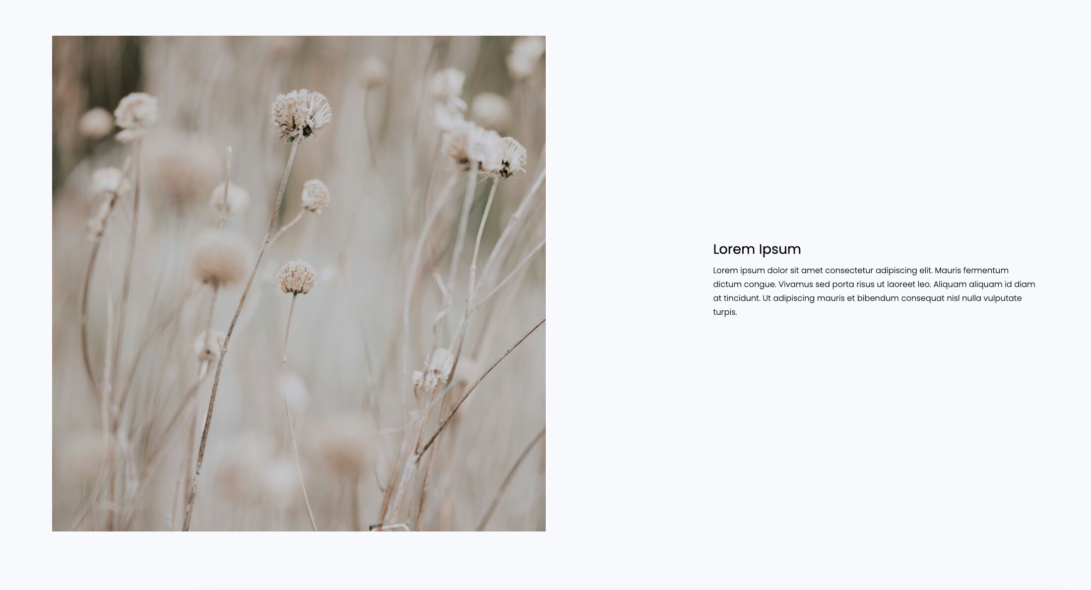 Single Image Alt-text Portfoliobox