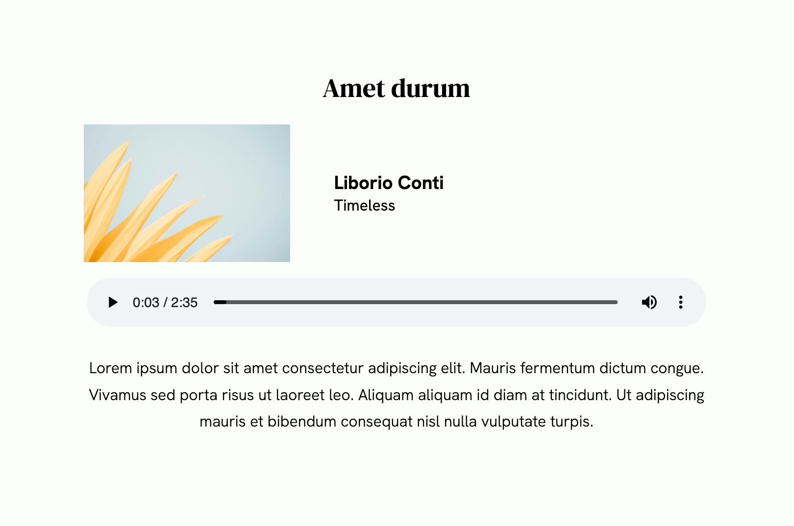 Soundtrack templates for your Portfoliobox website