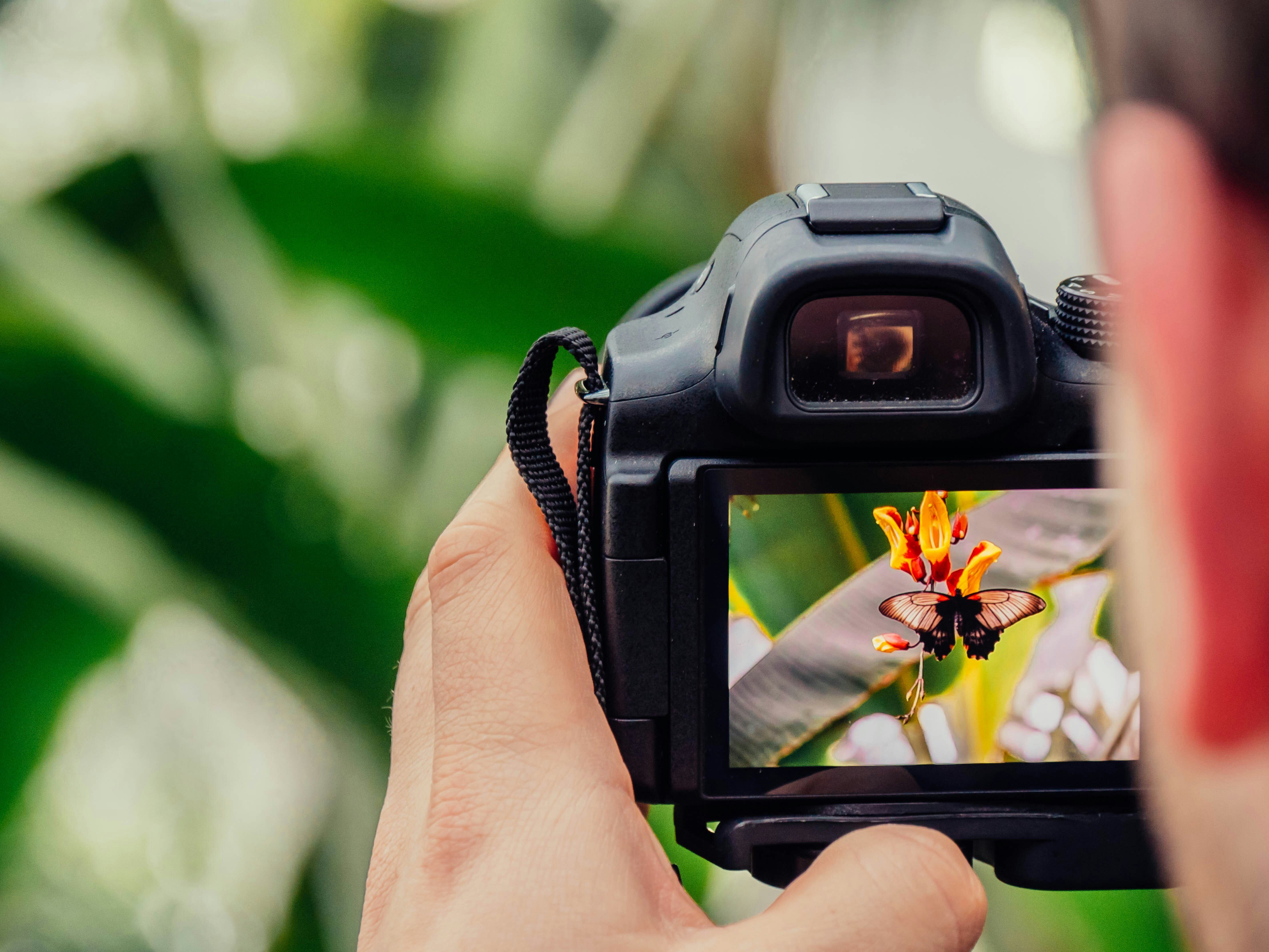 How to Become a Professional Photographer in 2024 - A Comprehensive Guide  