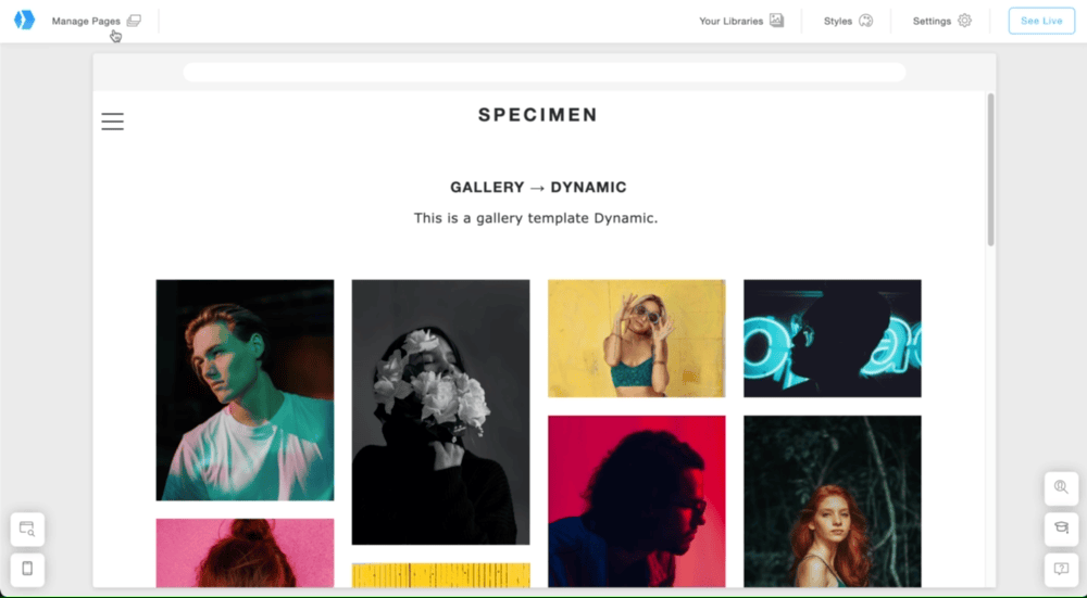 Create a gallery page